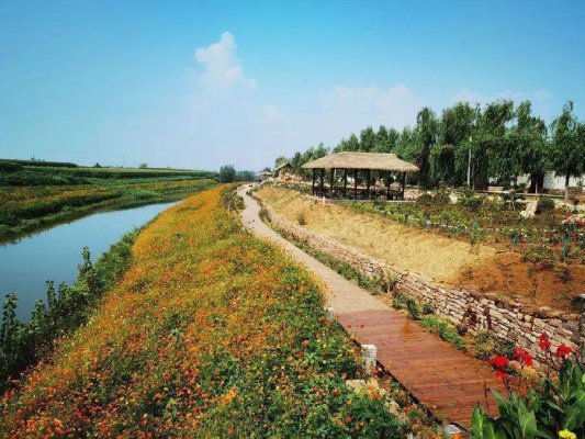 济宁市汶上县军屯乡：党建赋能奏响乡村“振兴曲”