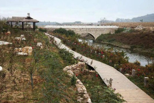 济宁市汶上县军屯乡：党建赋能奏响乡村“振兴曲”